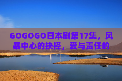 GOGOGO日本剧第17集，风暴中心的抉择，爱与责任的终极碰撞