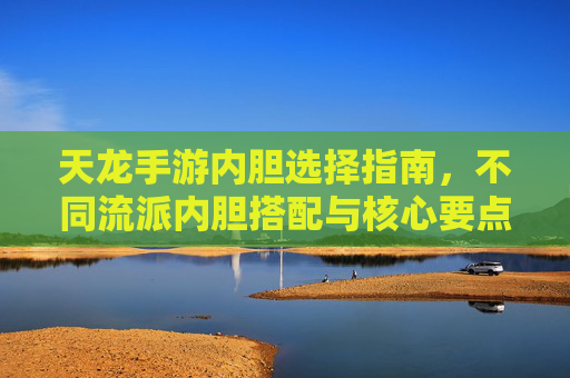 天龙手游内胆选择指南,不同流派内胆搭配与核心要点解析 天龙手游内胆选择指南,不同流派内胆搭配与核心要点解析