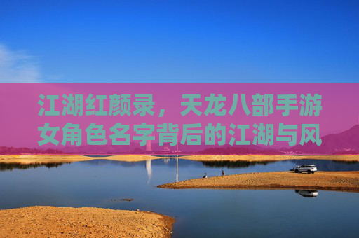 江湖红颜录,天龙八部手游女角色名字背后的江湖与风华 江湖红颜录,天龙八部手游女角色名字背后的江湖与风华