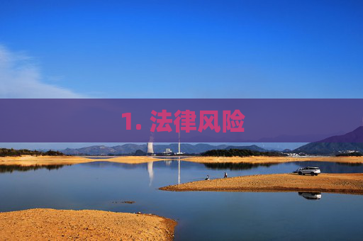 1. 法律风险