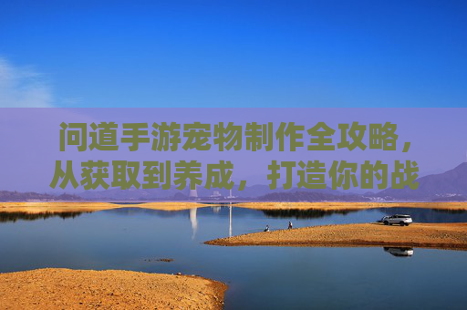 问道手游宠物制作全攻略,从获取到养成,打造你的战斗伙伴 问道手游宠物制作全攻略,从获取到养成,打造你的战斗伙伴
