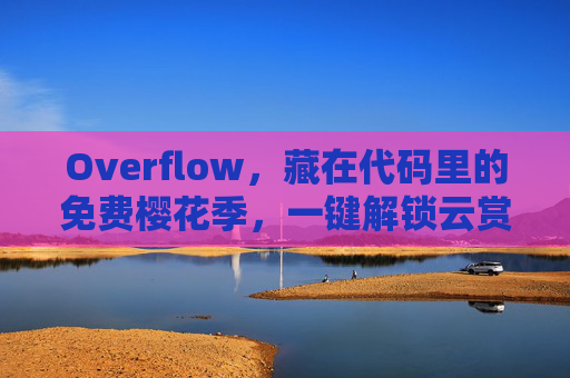 Overflow,藏在代码里的免费樱花季,一键解锁云赏樱的浪漫 Overflow,藏在代码里的免费樱花季,一键解锁云赏樱的浪漫