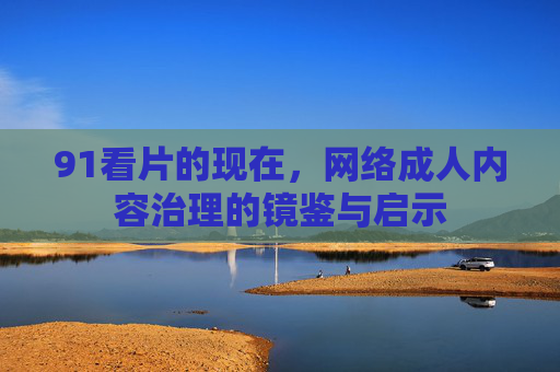 91看片的现在,网络成人内容治理的镜鉴与启示 91看片的现在,网络成人内容治理的镜鉴与启示