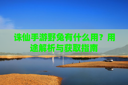 诛仙手游野兔有什么用？用途解析与获取指南