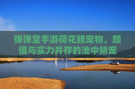 弹弹堂手游荷花鲤宠物,颜值与实力并存的池中娇宠 弹弹堂手游荷花鲤宠物,颜值与实力并存的池中娇宠
