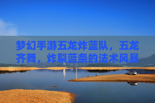 梦幻手游五龙炸蓝队，五龙齐舞，炸裂蓝条的法术风暴！