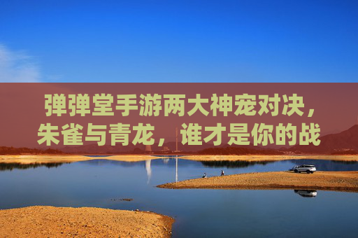 弹弹堂手游两大神宠对决，朱雀与青龙，谁才是你的战场王牌？