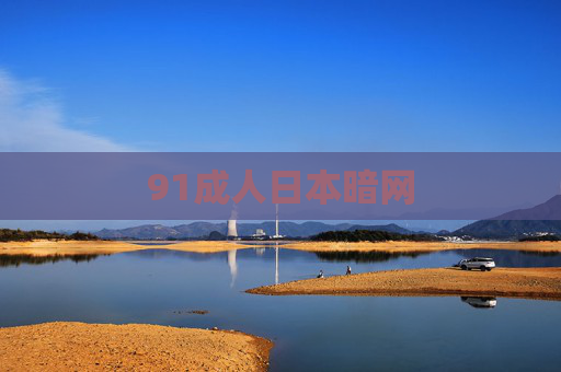 91成人日本暗网