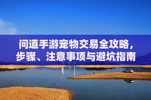 问道手游宠物交易全攻略,步骤、注意事项与避坑指南 问道手游宠物交易全攻略,步骤、注意事项与避坑指南