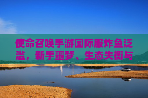 使命召唤手游国际服炸鱼泛滥,新手噩梦、生态失衡与玩家之殇 使命召唤手游国际服炸鱼泛滥,新手噩梦、生态失衡与玩家之殇