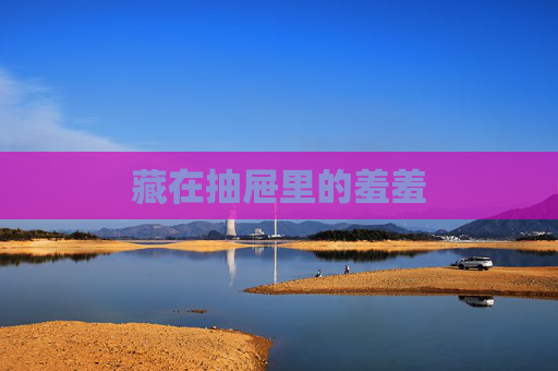 藏在抽屉里的羞羞 藏在抽屉里的羞羞