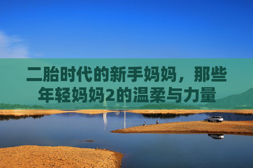 二胎时代的新手妈妈,那些年轻妈妈2的温柔与力量 二胎时代的新手妈妈,那些年轻妈妈2的温柔与力量