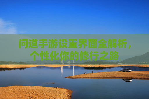 问道手游设置界面全解析，个性化你的修行之路