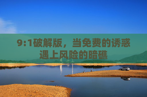9:1破解版,当免费的诱惑遇上风险的暗礁 9:1破解版,当免费的诱惑遇上风险的暗礁