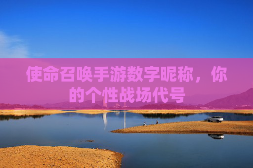 使命召唤手游数字昵称,你的个性战场代号 使命召唤手游数字昵称,你的个性战场代号