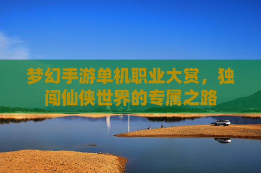 梦幻手游单机职业大赏，独闯仙侠世界的专属之路