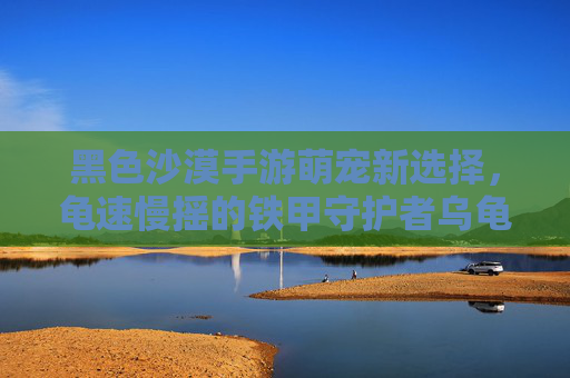 黑色沙漠手游萌宠新选择，龟速慢摇的铁甲守护者乌龟宠物解析