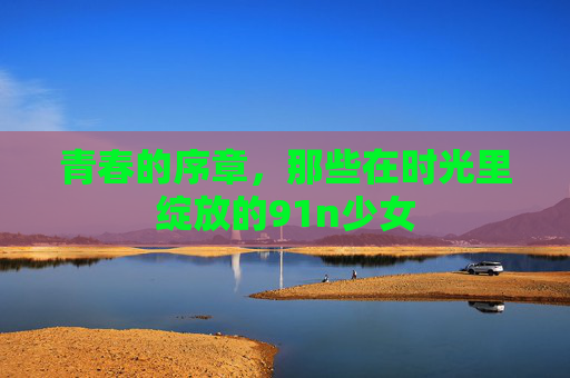 青春的序章,那些在时光里绽放的91n少女 青春的序章,那些在时光里绽放的91n少女
