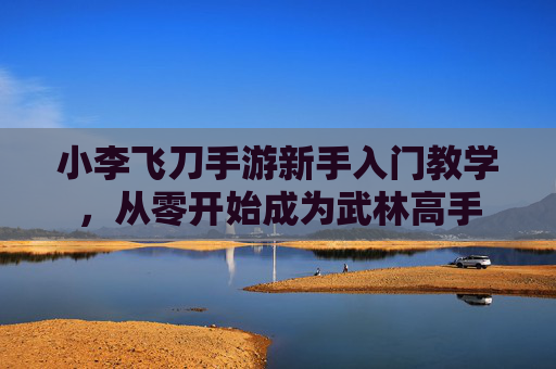 小李飞刀手游新手入门教学，从零开始成为武林高手