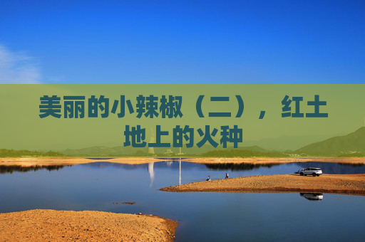 美丽的小辣椒（二），红土地上的火种