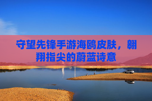 守望先锋手游海鸥皮肤,翱翔指尖的蔚蓝诗意 守望先锋手游海鸥皮肤,翱翔指尖的蔚蓝诗意