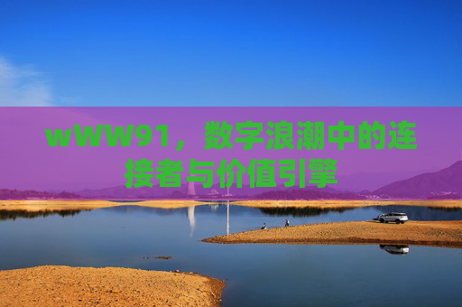 wWW91,数字浪潮中的连接者与价值引擎 wWW91,数字浪潮中的连接者与价值引擎