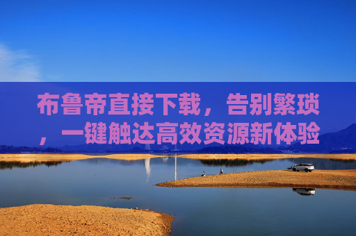 布鲁帝直接下载,告别繁琐,一键触达高效资源新体验 布鲁帝直接下载,告别繁琐,一键触达高效资源新体验