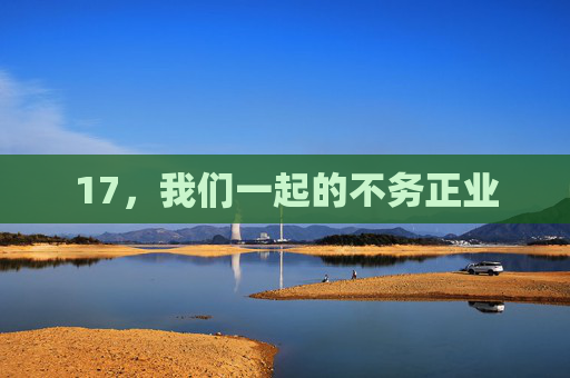 17,我们一起的不务正业 17,我们一起的不务正业