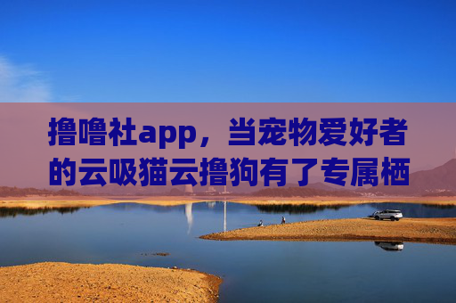 撸噜社app，当宠物爱好者的云吸猫云撸狗有了专属栖息地