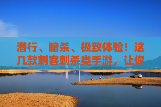 潜行、暗杀、极致体验!这几款刺客刺杀类手游,让你化身暗夜行者! 潜行、暗杀、极致体验!这几款刺客刺杀类手游,让你化身暗夜行者!