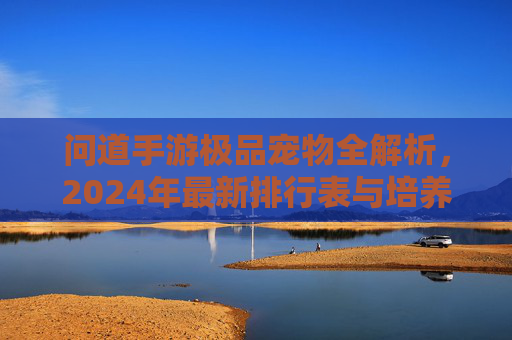 问道手游极品宠物全解析，2024年最新排行表与培养指南