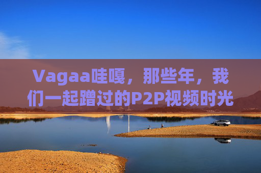 Vagaa哇嘎，那些年，我们一起蹭过的P2P视频时光