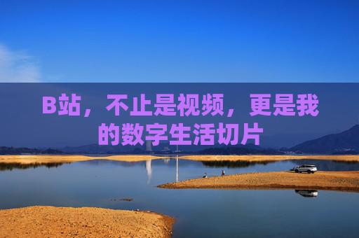 B站，不止是视频，更是我的数字生活切片
