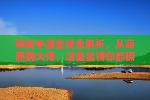 神武手游坐骑全解析,从萌新到大佬,这些坐骑你都拥有了吗? 神武手游坐骑全解析,从萌新到大佬,这些坐骑你都拥有了吗?