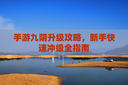 手游九阴升级攻略,新手快速冲级全指南 手游九阴升级攻略,新手快速冲级全指南