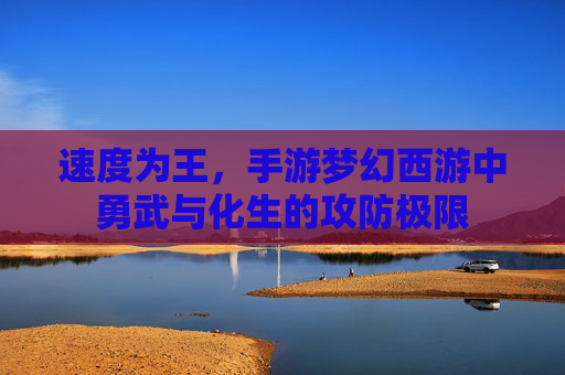 速度为王，手游梦幻西游中勇武与化生的攻防极限
