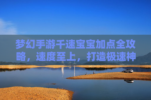梦幻手游千速宝宝加点全攻略，速度至上，打造极速神宠