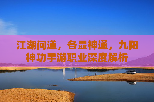 江湖问道，各显神通，九阳神功手游职业深度解析