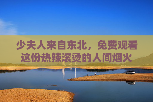 少夫人来自东北，免费观看这份热辣滚烫的人间烟火