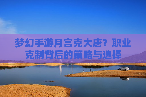 梦幻手游月宫克大唐?职业克制背后的策略与选择 梦幻手游月宫克大唐?职业克制背后的策略与选择