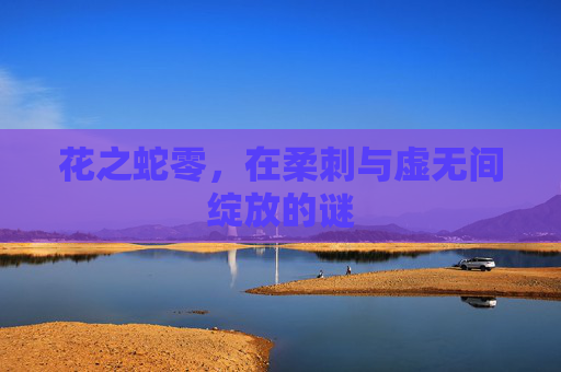 花之蛇零,在柔刺与虚无间绽放的谜 花之蛇零,在柔刺与虚无间绽放的谜