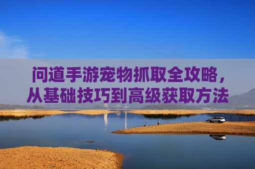 问道手游宠物抓取全攻略,从基础技巧到高级获取方法 问道手游宠物抓取全攻略,从基础技巧到高级获取方法
