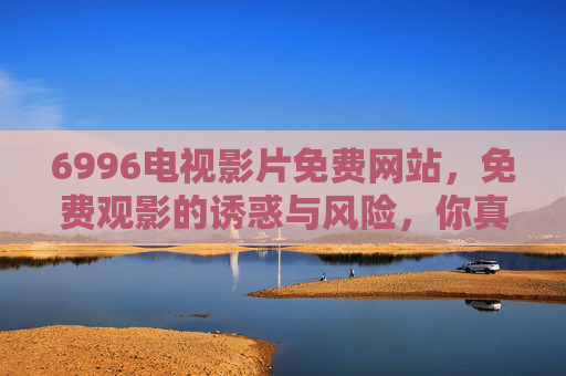 6996电视影片免费网站，免费观影的诱惑与风险，你真的了解吗？