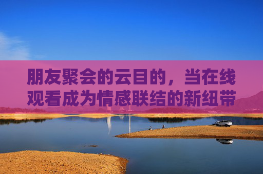 朋友聚会的云目的，当在线观看成为情感联结的新纽带