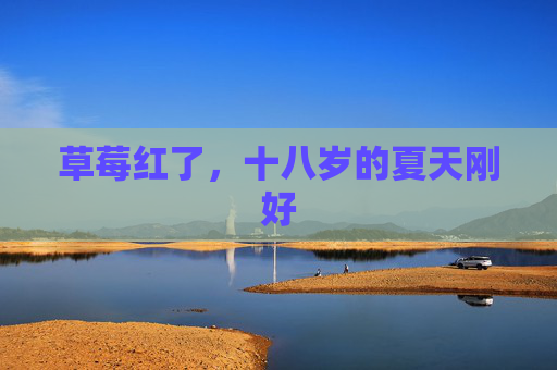 草莓红了,十八岁的夏天刚好 草莓红了,十八岁的夏天刚好