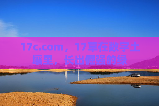 17c.com,17草在数字土壤里,长出倔强的绿 17c.com,17草在数字土壤里,长出倔强的绿