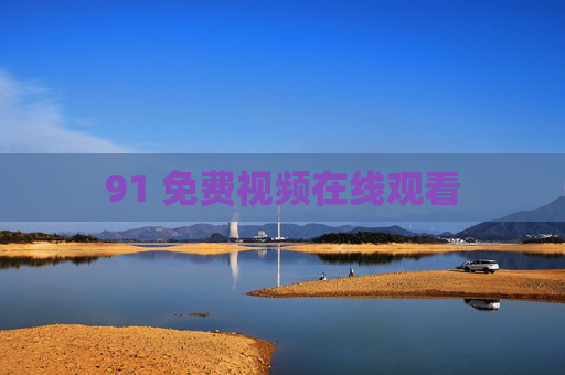 91 免费视频在线观看