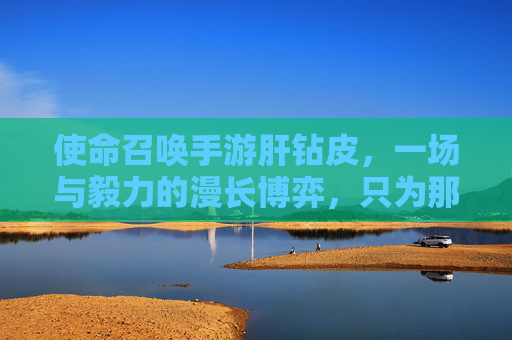 使命召唤手游肝钻皮,一场与毅力的漫长博弈,只为那一抹专属荣耀? 使命召唤手游肝钻皮,一场与毅力的漫长博弈,只为那一抹专属荣耀?