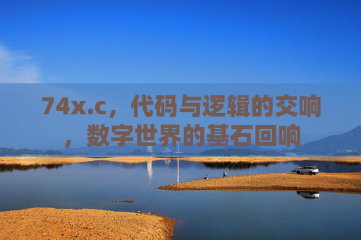 74x.c，代码与逻辑的交响，数字世界的基石回响