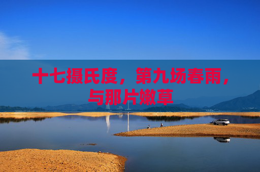 十七摄氏度，第九场春雨，与那片嫩草